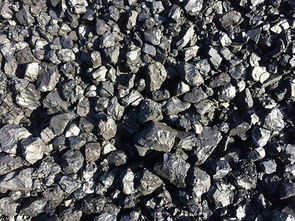 茂名块煤市场概况与水产品供应的区域经济关联