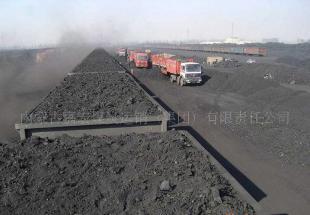 优质5800卡电煤 315元直销价带双票，能源市场新选择